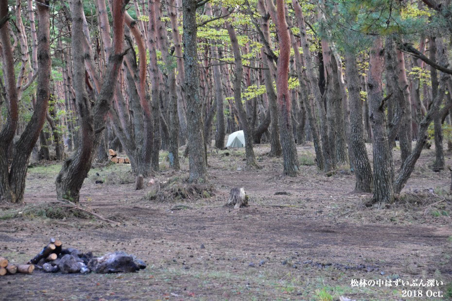 本栖湖キャンプ場 山梨県 への口コミ情報