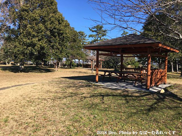 浮島デイキャンプ場 和田公園 茨城県 への口コミ情報